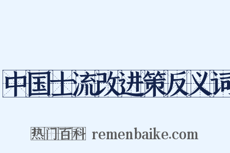中国士流改进策反义词是什么意思的图片